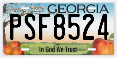 GA license plate PSF8524