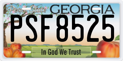 GA license plate PSF8525