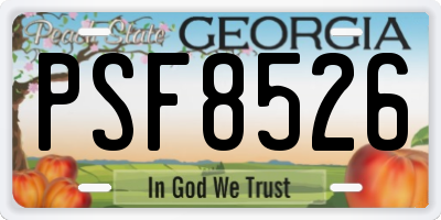 GA license plate PSF8526
