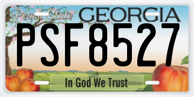 GA license plate PSF8527