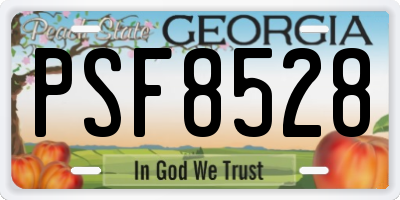 GA license plate PSF8528