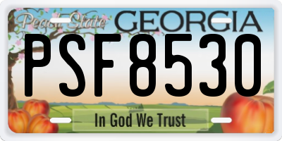 GA license plate PSF8530