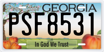 GA license plate PSF8531