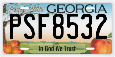 GA license plate PSF8532