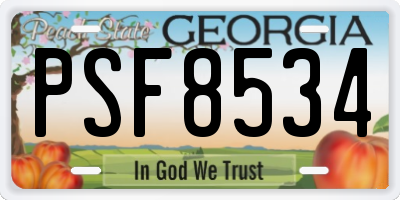 GA license plate PSF8534