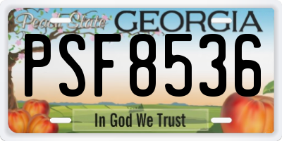 GA license plate PSF8536
