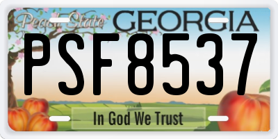 GA license plate PSF8537