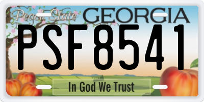 GA license plate PSF8541