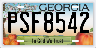 GA license plate PSF8542
