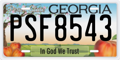 GA license plate PSF8543