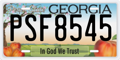 GA license plate PSF8545
