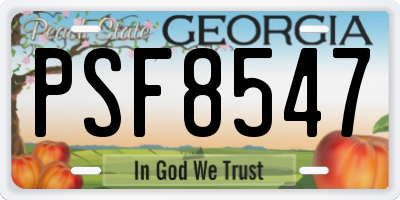 GA license plate PSF8547
