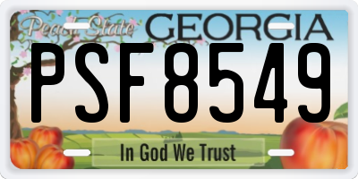 GA license plate PSF8549
