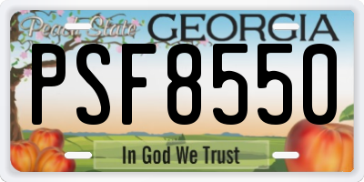 GA license plate PSF8550