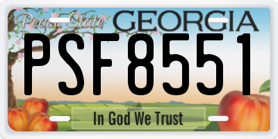 GA license plate PSF8551