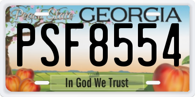 GA license plate PSF8554