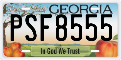 GA license plate PSF8555