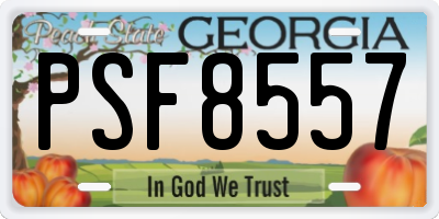 GA license plate PSF8557