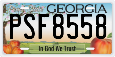 GA license plate PSF8558
