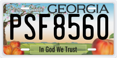 GA license plate PSF8560