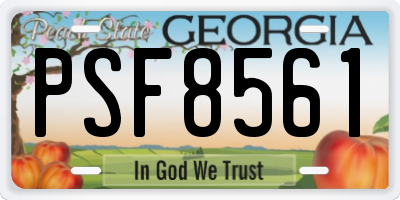 GA license plate PSF8561