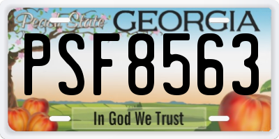GA license plate PSF8563