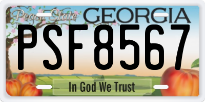 GA license plate PSF8567