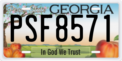 GA license plate PSF8571