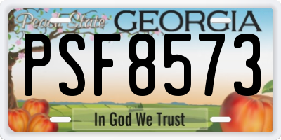 GA license plate PSF8573