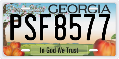 GA license plate PSF8577