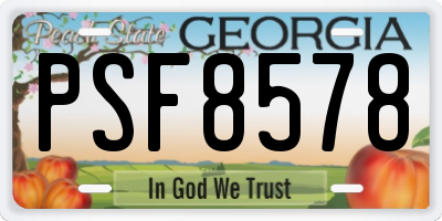 GA license plate PSF8578