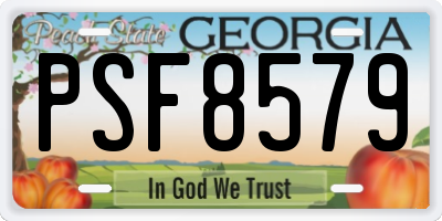 GA license plate PSF8579