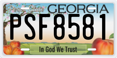 GA license plate PSF8581