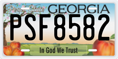 GA license plate PSF8582