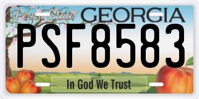 GA license plate PSF8583