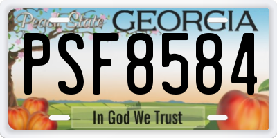 GA license plate PSF8584
