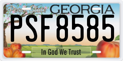 GA license plate PSF8585