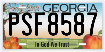 GA license plate PSF8587