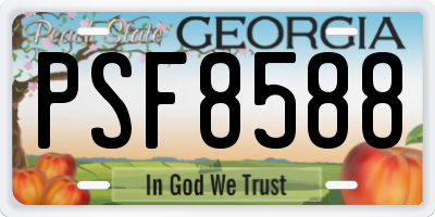 GA license plate PSF8588