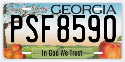 GA license plate PSF8590