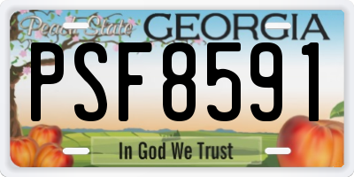 GA license plate PSF8591