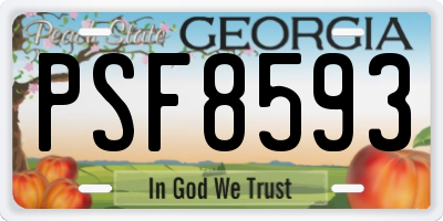 GA license plate PSF8593
