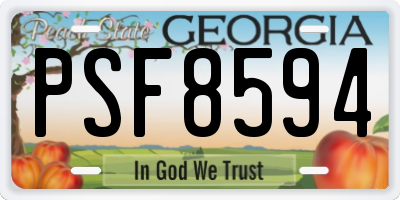 GA license plate PSF8594