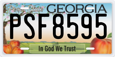 GA license plate PSF8595