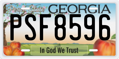 GA license plate PSF8596