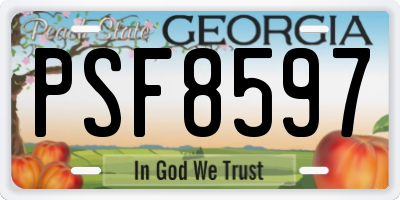 GA license plate PSF8597