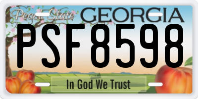 GA license plate PSF8598