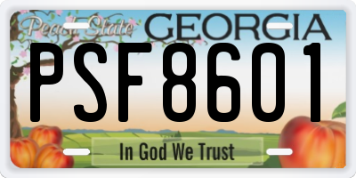 GA license plate PSF8601
