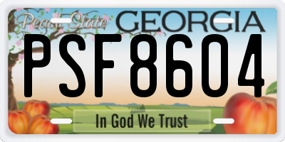 GA license plate PSF8604