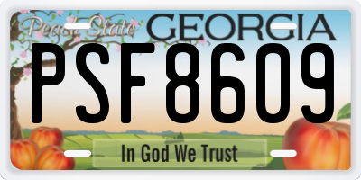 GA license plate PSF8609